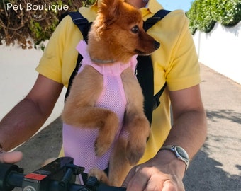 Sac à dos pour chien, écharpe pour chiot, cage de transport pour chat, sac à dos pour chat, voyage pour animal de compagnie