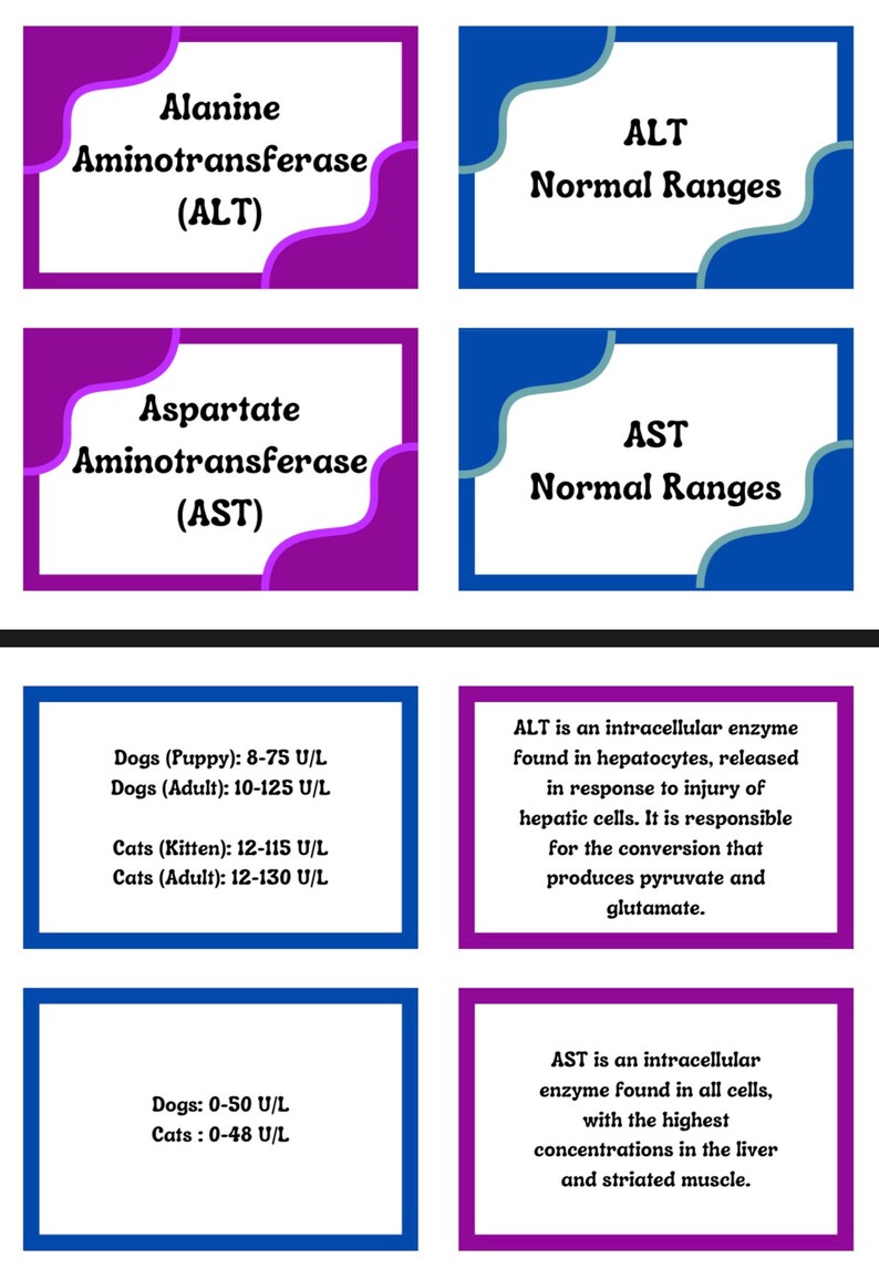 Veterinary Hematology Flash Cards - Etsy