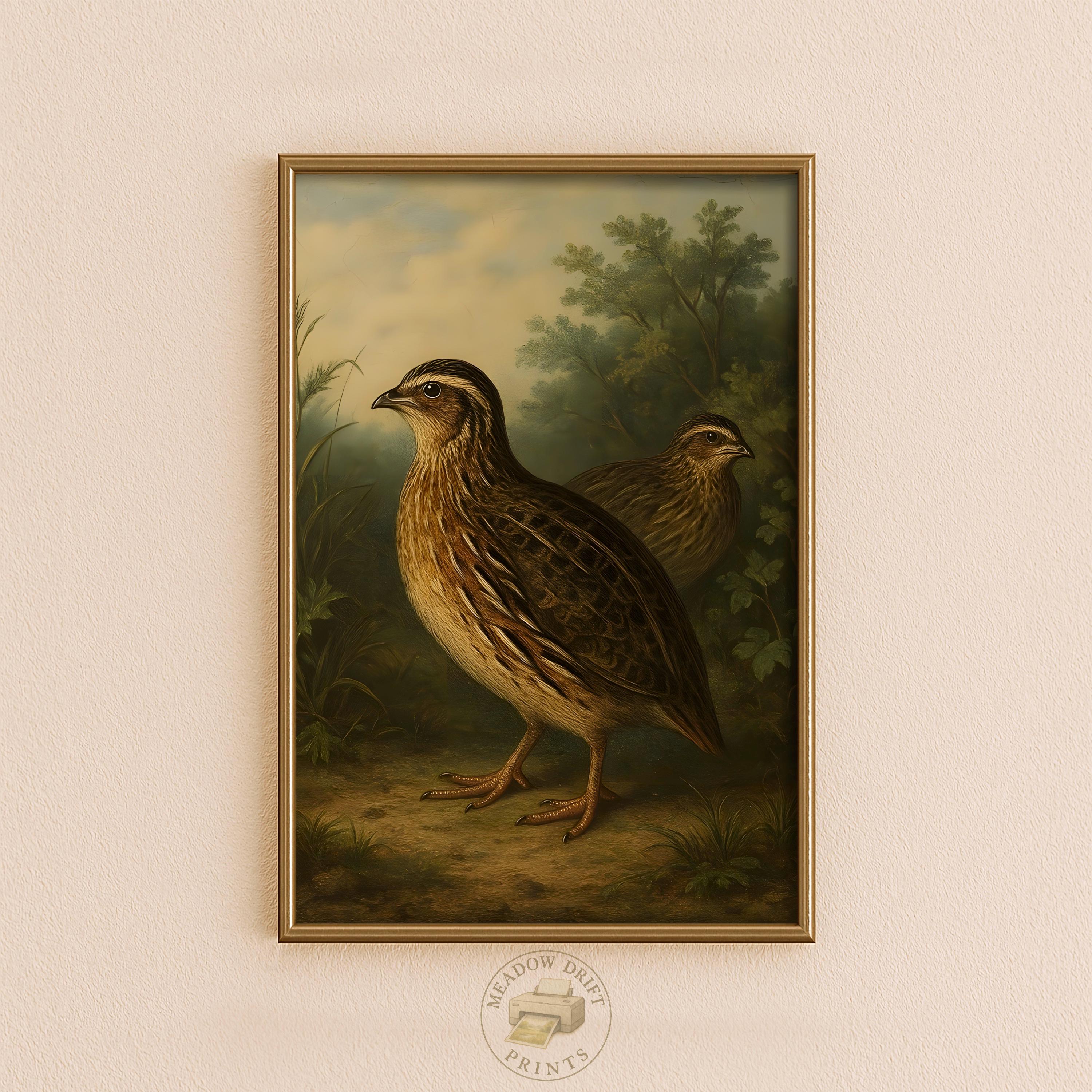 Vintage Quail Print: Rustic Farmhouse Bird Illustration (Digital Download)