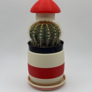Red Toadstool Plant Pot: Cottagecore Cactus and Succulent Planter *plus free item*