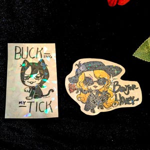 May include: Two holographic stickers. The rectangular sticker on the left features a black cat character with the text BUCK-ING MY TICK. The die-cut sticker on the right shows a blonde character in a hat and sunglasses with the text Bonjour Honey~.