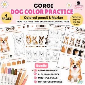 May include: A digital download bundle featuring four pages of Corgi dog colour practice sheets. The pages include line art illustrations of Corgis in various poses, colour swatches, fur blending guides, and reference photos for coloured pencil and marker.