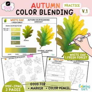 May include: An autumn color blending worksheet for Procreate featuring a white oak leaf guide. It includes Ohuhu color swatches, a blending reference, and practice pages with leaf outlines for markers or colored pencils in a 3-page PDF and PNG set.
