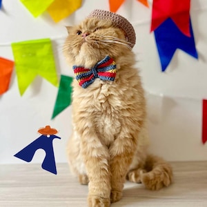 Pet June Party Kit