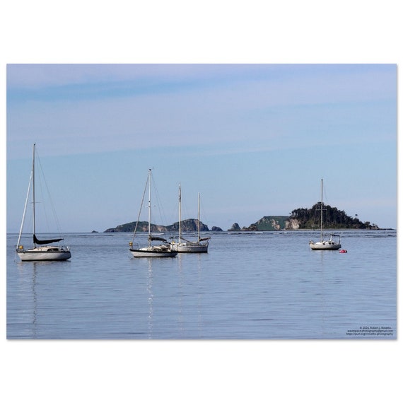 Sail boats Island Color - Premium Semi-Glossy Paper Poster