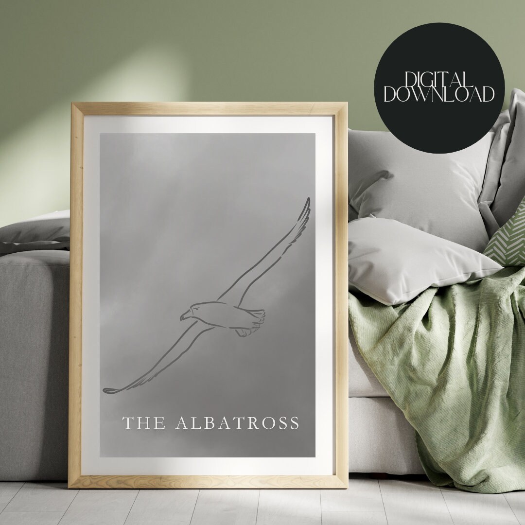 Discover The Tortured Poets Department | THE ALBATROSS | Taylor Poster | Taylor Prints