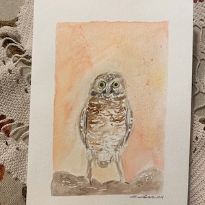 Burrowing Owl Greeting Card