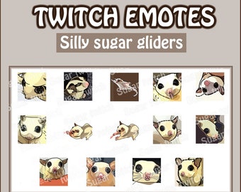 Cute Silly Meme Sugar Glider Emotes for Twitch, Youtube, Kick, 14 emotes + 1 animated