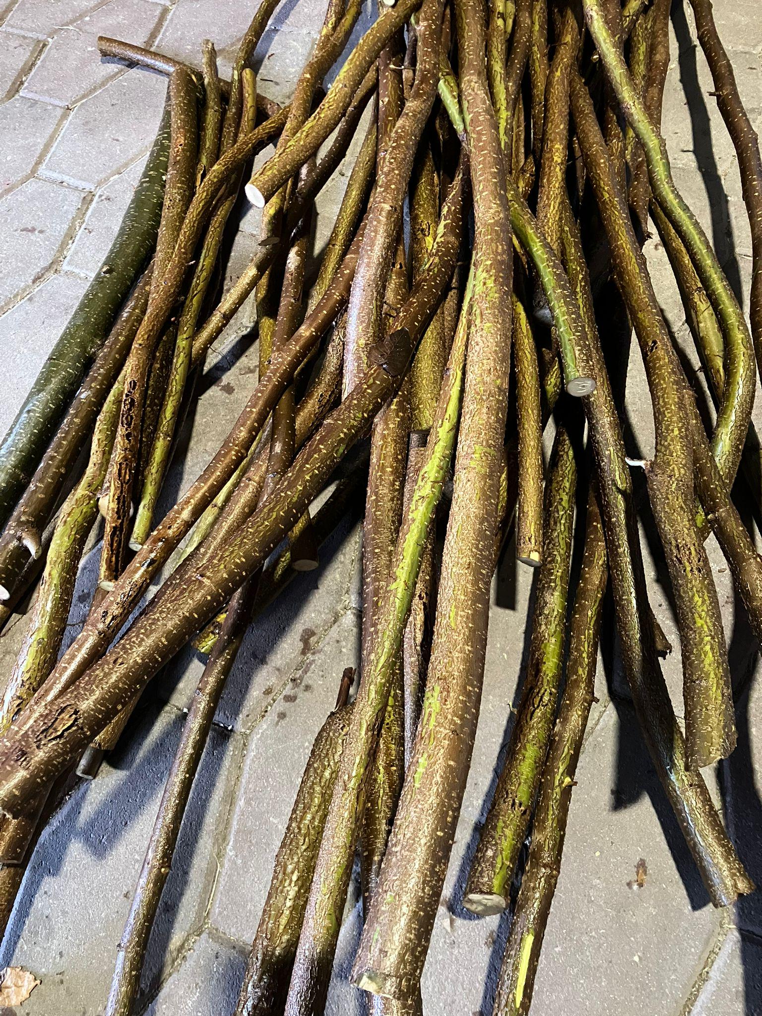 Haselnuss Stöcke,Haselnusszweig, Stockbrot, Grillen, Lagerfeuer, Gartenstützen, Weihnachtsdeko, Advent, Bastel, DIY, Haselnusszweige Nager