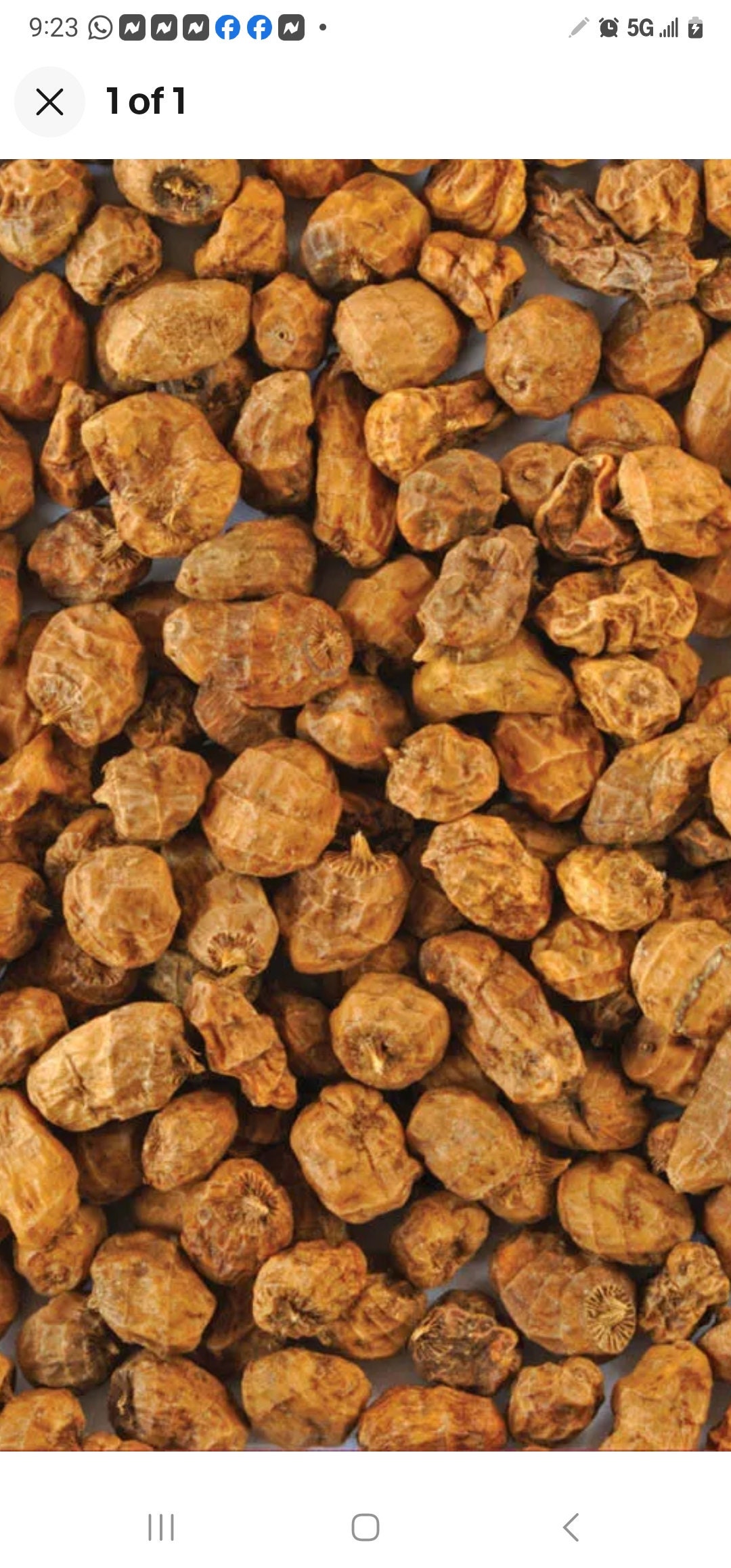 Tiger Nuts – 16oz Dried African Superfood Snack, Non-GMO, 100% Organic, USA