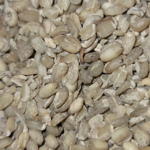 May include: A close-up view of a pile of hulled sunflower seeds. The seeds are a light beige color and have a rough texture.