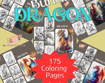 BUNDEL 175 schattige draak kleurplaten voor kinderen, kleurplaten voor volwassenen, grijswaarden printables, Instant Download voor stressverlichting