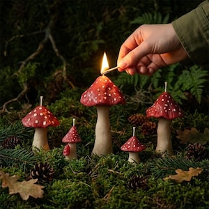 May include: A collection of mushroom-shaped candles with red caps and white spots, arranged on a bed of green moss. A hand lights one candle with a match. The candles vary in size, creating a whimsical forest scene.