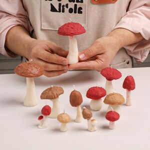 May include: A collection of mushroom-shaped candles in various sizes and shades of red, brown, and tan. Each candle features a textured cap and a smooth white stem with a small wick protruding from the top of the cap, arranged on a flat surface.