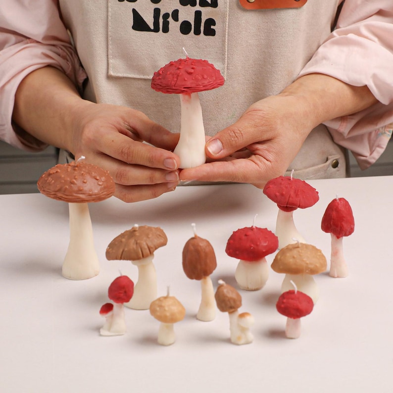 May include: A collection of mushroom-shaped candles in various sizes and shades of red, brown, and tan. Each candle features a textured cap and a smooth white stem with a small wick protruding from the top of the cap, arranged on a flat surface.