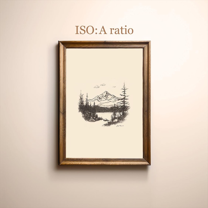 May include: A framed black and white pen and ink drawing of a mountain range with a lake in the foreground. The drawing is titled "ISO: A ratio".