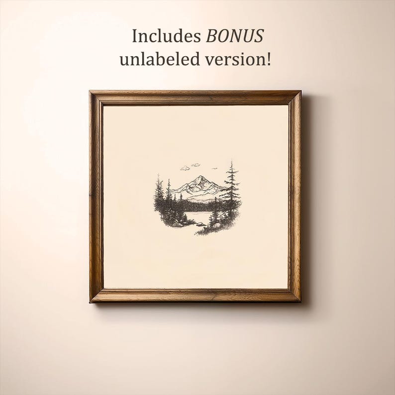 May include: A black and white line drawing of a mountain range with a lake in the foreground. The drawing is framed in a brown wooden frame.