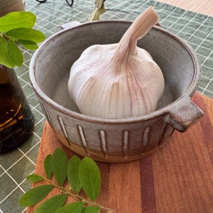 Handmade Ceramic Bowl with handles – Rustic Textured Design