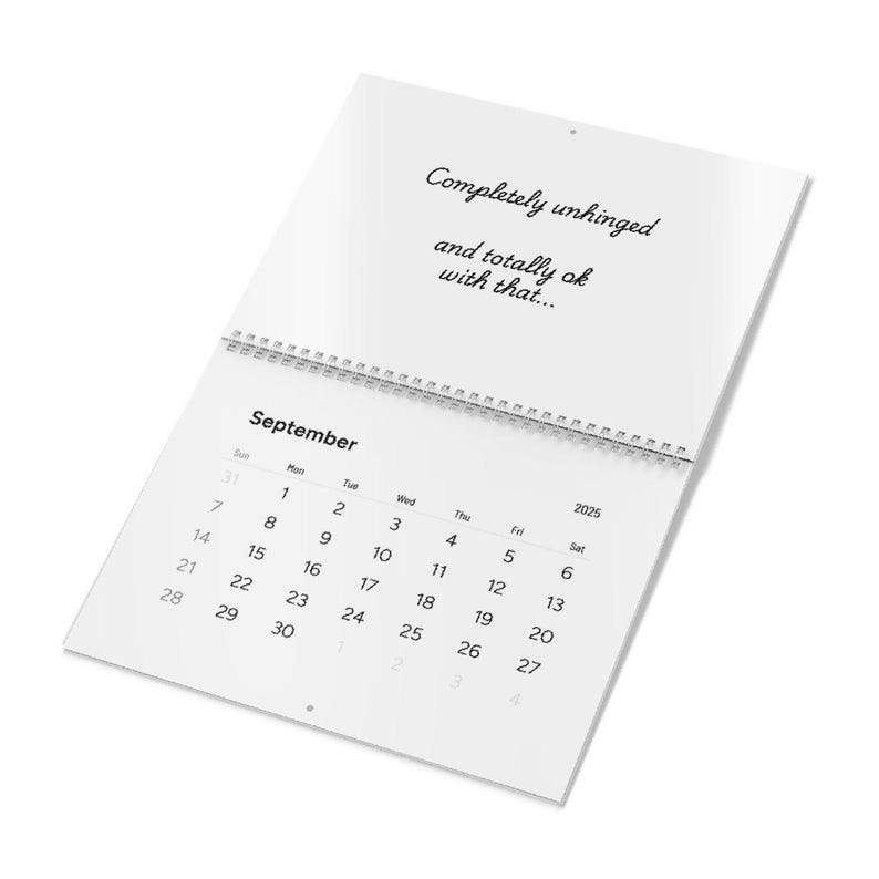 Adult Humor 2025 Calendar Funny Quotes Sweary Calendar New Year Gift