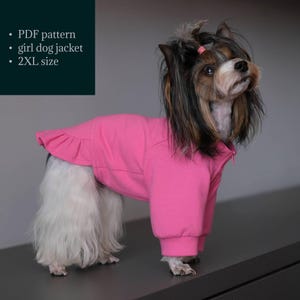 May include: A small dog wearing a bright pink jacket with a ruffled hem. The jacket has a zipper closure and ribbed cuffs. The dog has long, flowing hair with a pink hair tie. Text on the image reads: PDF pattern, girl dog jacket, 2XL size.