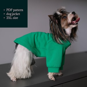 Könnte beinhalten: Ein kleiner Hund trägt eine leuchtend grüne Hundejacke. Die Jacke hat lange Ärmel und einen gerippten Saum. Auf der linken Seite steht "PDF pattern", "dog jacket" und "3XL size". Der Hund hat langes, mehrfarbiges Fell und schaut mit herausgestreckter Zunge nach oben.