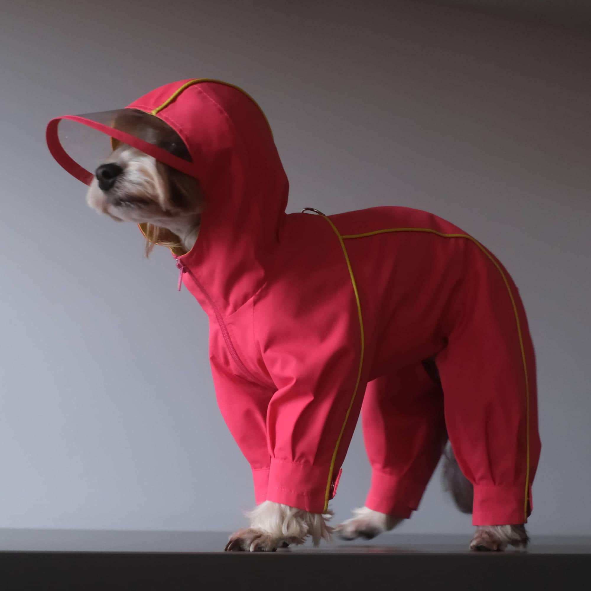 PDF Dog Rain Overall Pattern (size 4XL): Small Breed Waterproof Hooded ...
