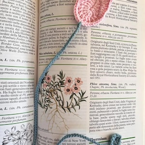 Può includere: Primo piano di una pagina di libro con testo sulla pianta Phlox amoena. Il testo descrive l'origine della pianta, le sue abitudini di crescita e i colori dei suoi fiori. Un segnalibro a forma di fiore all'uncinetto rosa è posizionato sulla pagina, oscurando parzialmente il testo.