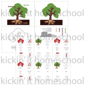 DIGITAL Printable PDF Download to make Montessori Botany Felt Parts of the Flower, Leaf, Tree Puzzles and Nomenclature 3 Part Cards image 3