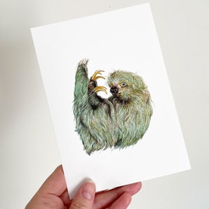 Cute Sloth Watercolor giclee print ink Archival art in natural colors 5x7 inch illustration south american wildlife costa rica animal image 2
