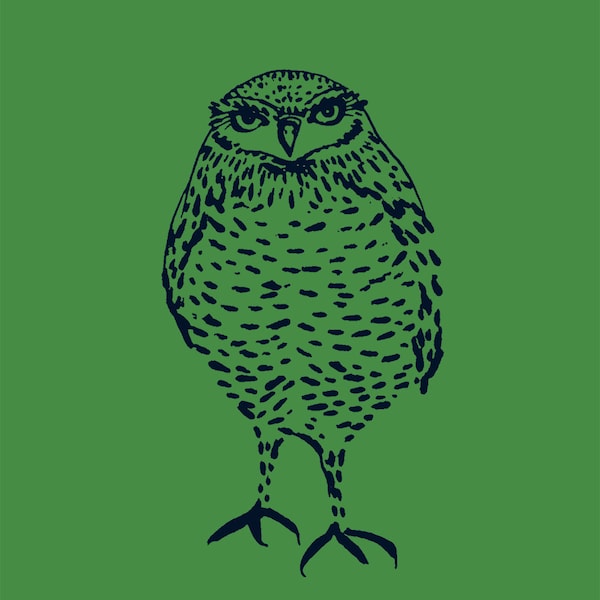 Burrowing Owl Gocco print - No. 75 - Screen print Reproduction of Ink Illustration Owl Spring Spring Trends Colors Green 5x7