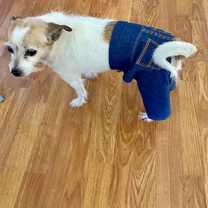 Jeans para cães, jeans para cães, calças para cães menores, jeans para cães.