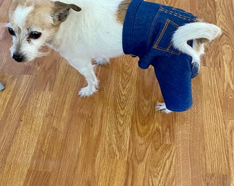 Denim  Dog Jeans,  Cute dog denim pants, Jeans outfit