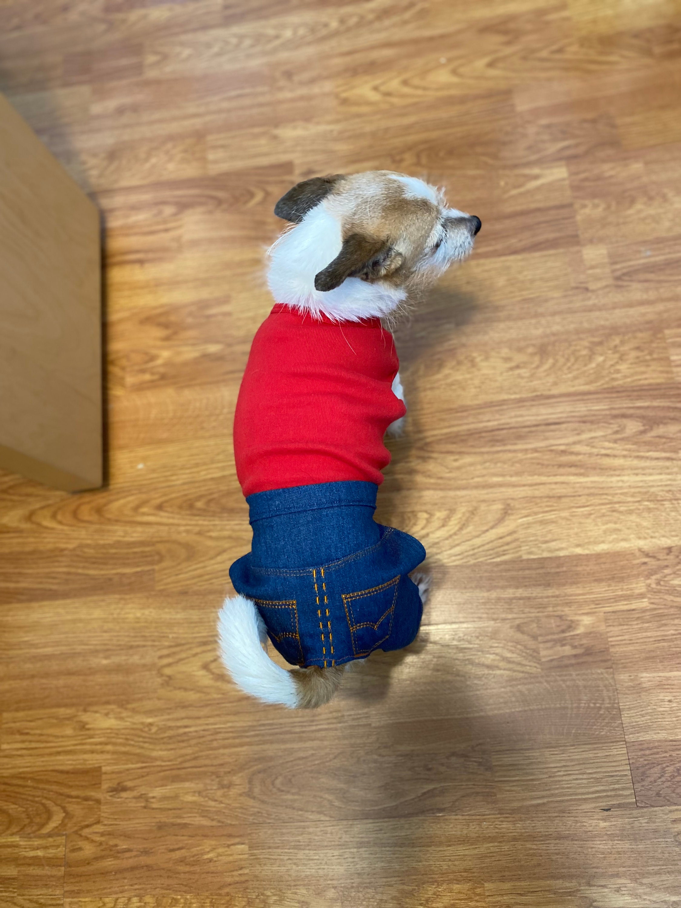 Jeans for Dogs Denim Dog Jeans pants for Smaller Dogs Dog Etsy