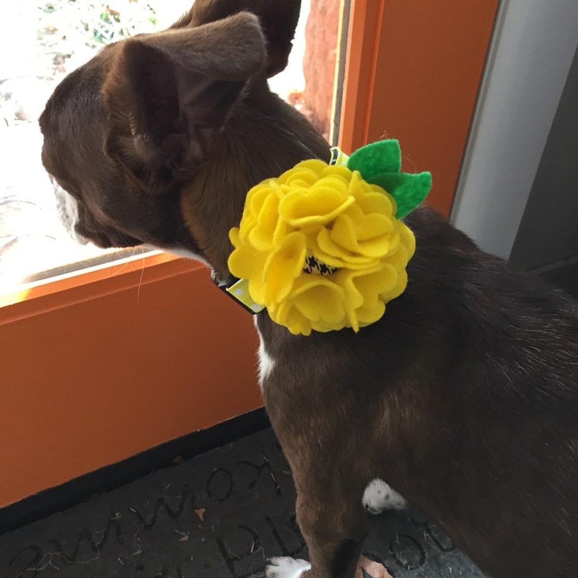Dog Collar Flowerflower for Dog Collar Flowers for Dog Etsy