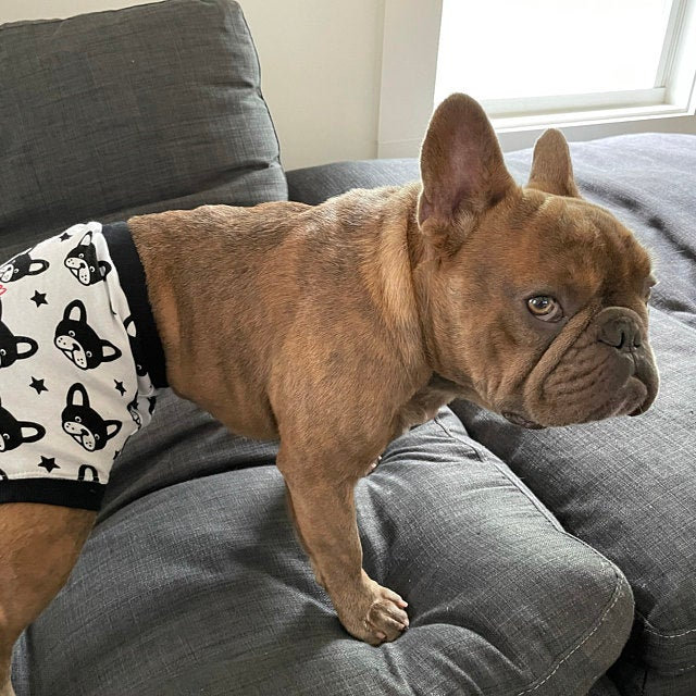 下着・アンダーウェア DOG UNDER WONDER ボクサーパンツ ドッグ シームレスボクサーパンツ