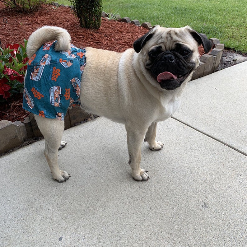 Dog Shorts Dog Boxer Shorts Dog Pants Dog Pantsplaid Dog Etsy