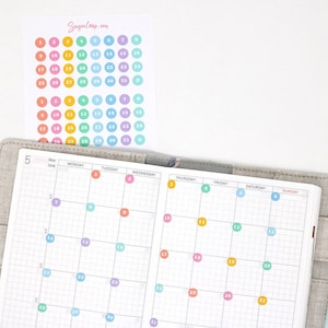 Multicolor Mini Date Dot Bujo Planner Stickers: 0.25" (6 mm) | Countdown Day Cover 1-31 DIY Calendar Numbers Undated  Hobo TN DAT6