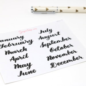 Months of The Year Planner Bujo Planner Stickers: 1.5 38mm 2 50 mm Hand Lettered Script Monthly Calendar MOS1 image 6