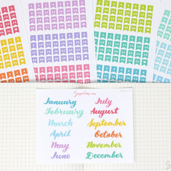 Date Month Sticker Planner Sticker Bundle: Various Sizes | Day Cover 1-31 Countdown Calendar Numbers Undated Journal  Hobo TN  KIT1