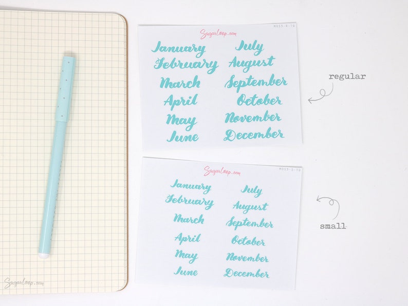 Months of The Year Planner Bujo Planner Stickers: 1.5 38mm 2 50 mm 16 Colors Hand Lettered Script Monthly MOS3 image 6