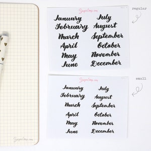 Months of The Year Planner Bujo Planner Stickers: 1.5 38mm 2 50 mm Hand Lettered Script Monthly Calendar MOS1 image 5