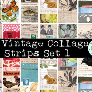 May include: Twelve vintage collage strips, each with a different design. The strips feature a variety of images, including butterflies, birds, flowers, and text. The strips are perfect for adding a vintage touch to your crafts and projects.