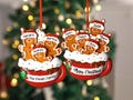 Personalized Gingerbread Christmas Ornament 2025,Custom Resin Family Ornament,Gingerbread Christmas Decor,Family Xmas Gift,Xmas Tree Decor product logo