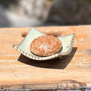 May include: A round, brown shampoo bar sits on a square, pale green ceramic soap dish with a textured rim. The dish is on a wooden surface, creating a natural aesthetic. The shampoo bar has a textured surface, suggesting a solid form.