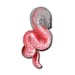 Owner of <a href='https://www.etsy.com/nz/shop/sogeth?ref=l2-about-shopname&from_page=listing' class='wt-text-link'>sogeth</a>
