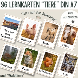 Lernkarten Tiere | Montessori Lernkarten Kinder | Vorlage für Erzieher | Lernvorlage Kita | Vorlagen Krippe | Portfolio Vorlage Kindergarten