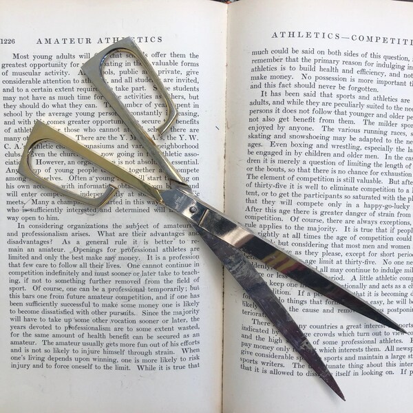Steel Scissors Made in Italy Etsy