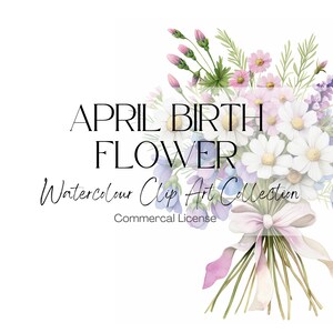April Birth Flower Bouquet Watercolour Clip Art, Daisy & Sweet Pea Flowers, Floral Clip Art, Birth Flowers, April Birth Flower, 450 DPI – Special April Birth Flower Bouquet for your loved ones