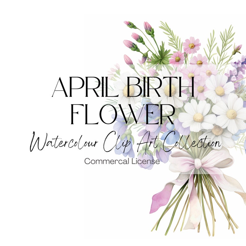 April Birth Flower Bouquet Watercolour Clip Art, Daisy & Sweet Pea Flowers, Floral Clip Art, Birth Flowers, April Birth Flower, 450 DPI – Special April Birth Flower Bouquet for your loved ones