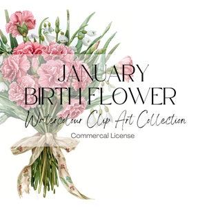 May include: A watercolour illustration of a bouquet of pink carnations and white snowdrops tied with a ribbon. The text "JANUARY BIRTH FLOWER Watercolor Clip Art Collection Commercial License" is displayed on the image.
